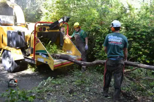 tree services Nuiqsut